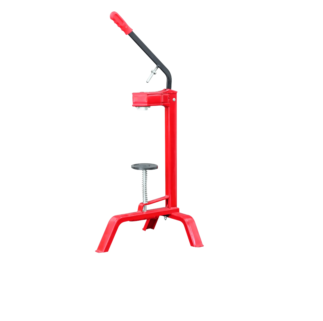 Stovintis grindinis kamščiakišis